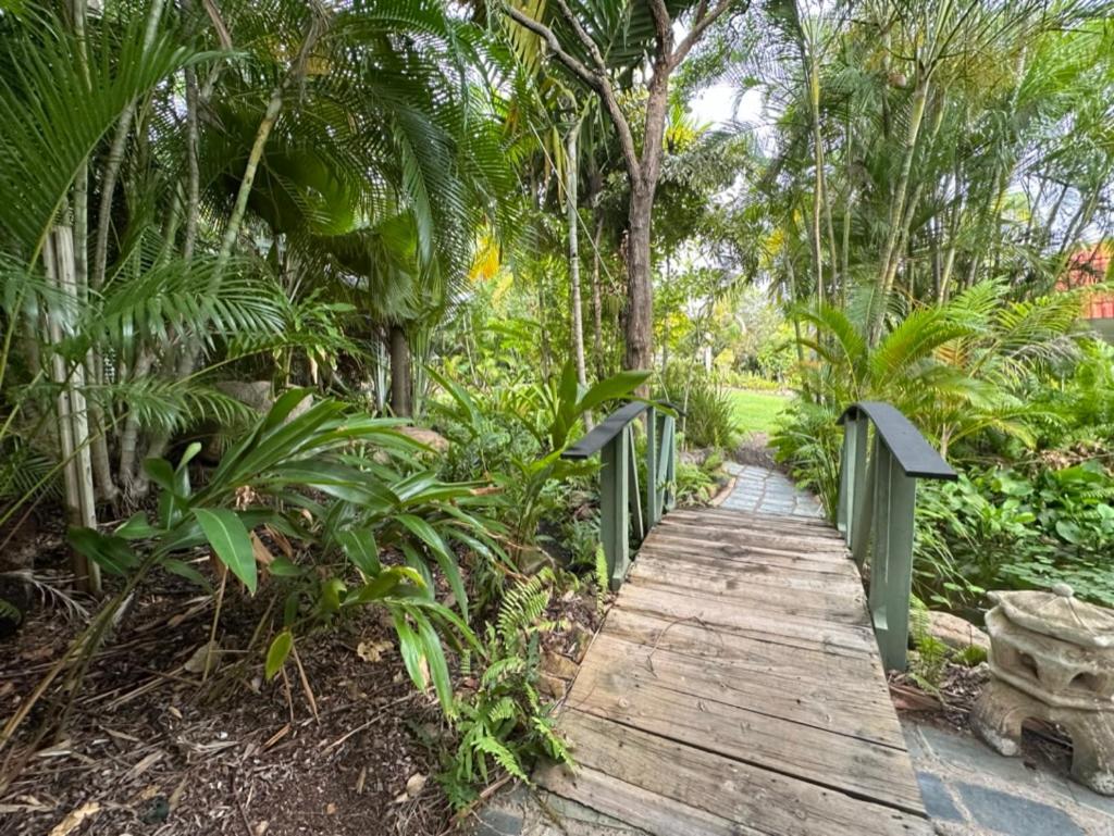 Magnetic Island Resort Studio Nelly Bay Exterior photo